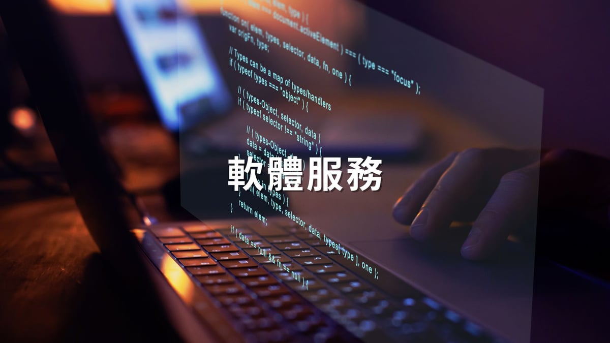 軟體服務