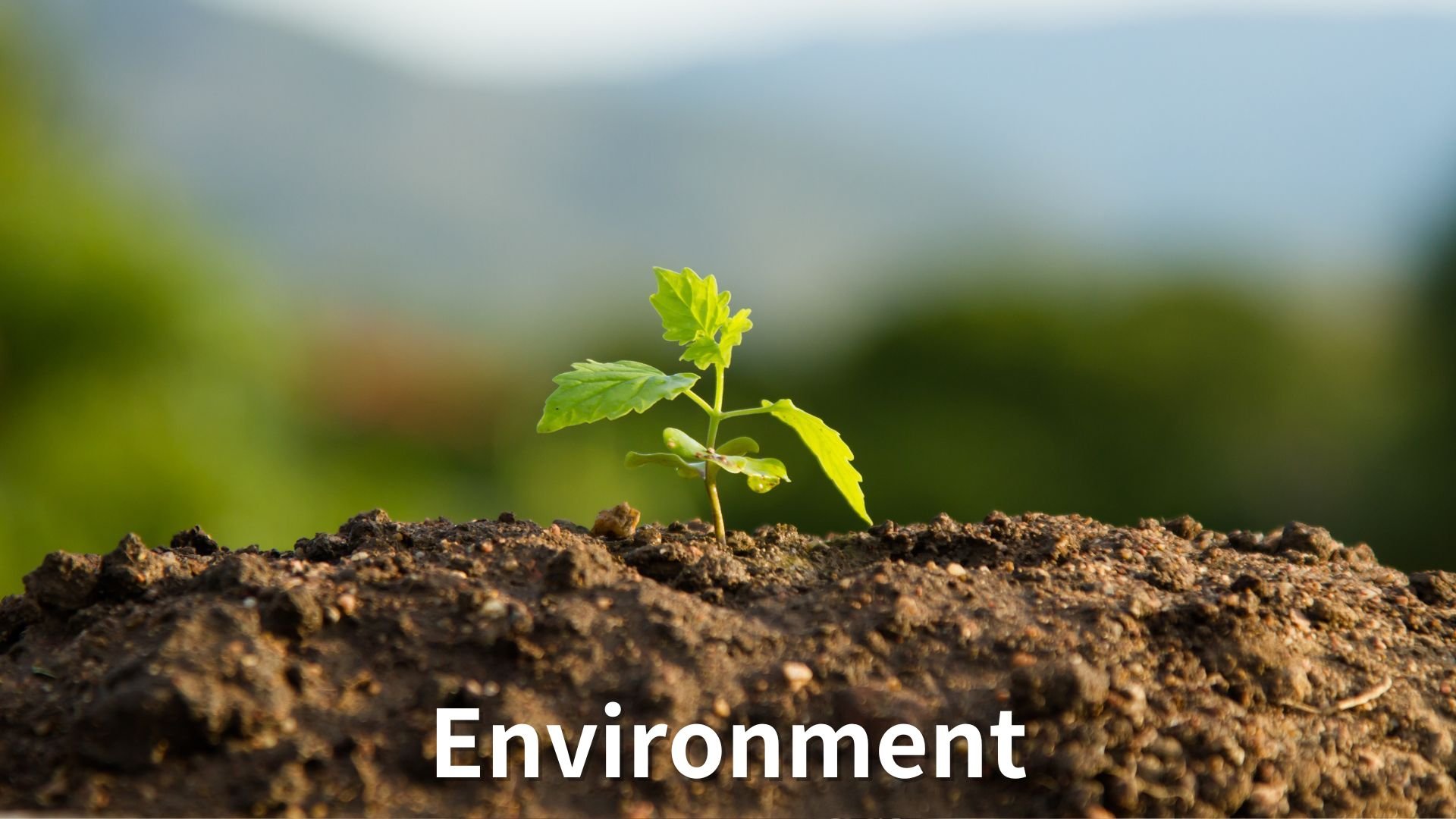 環境永續Environment